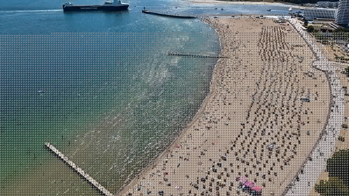 Toxic blue-green algae confirmed in Baltic Sea: avoid these waters