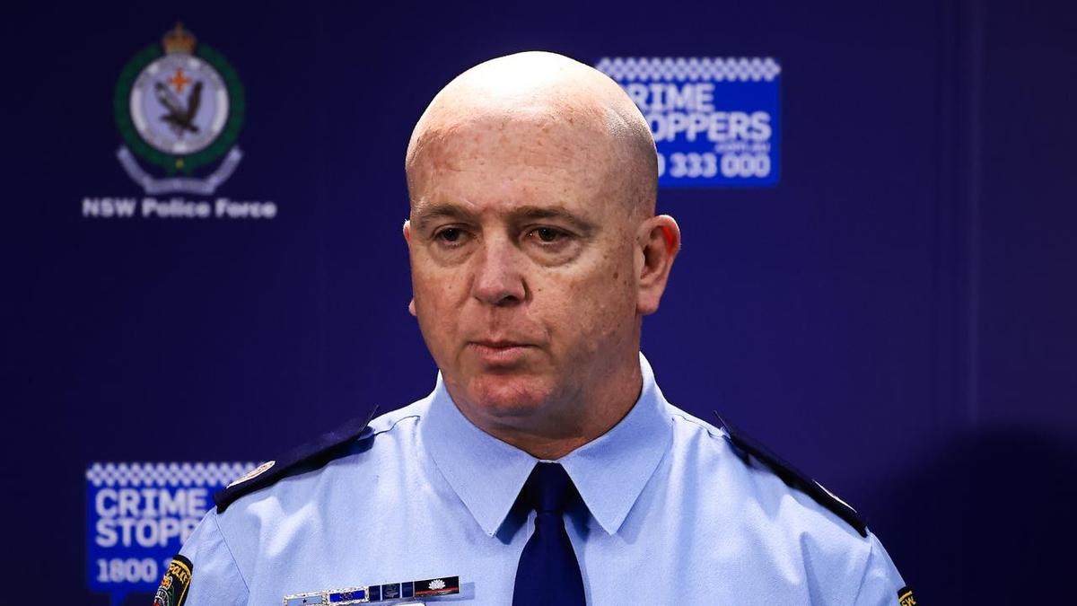 Anti-Semitism probe set to examine incendiary protests