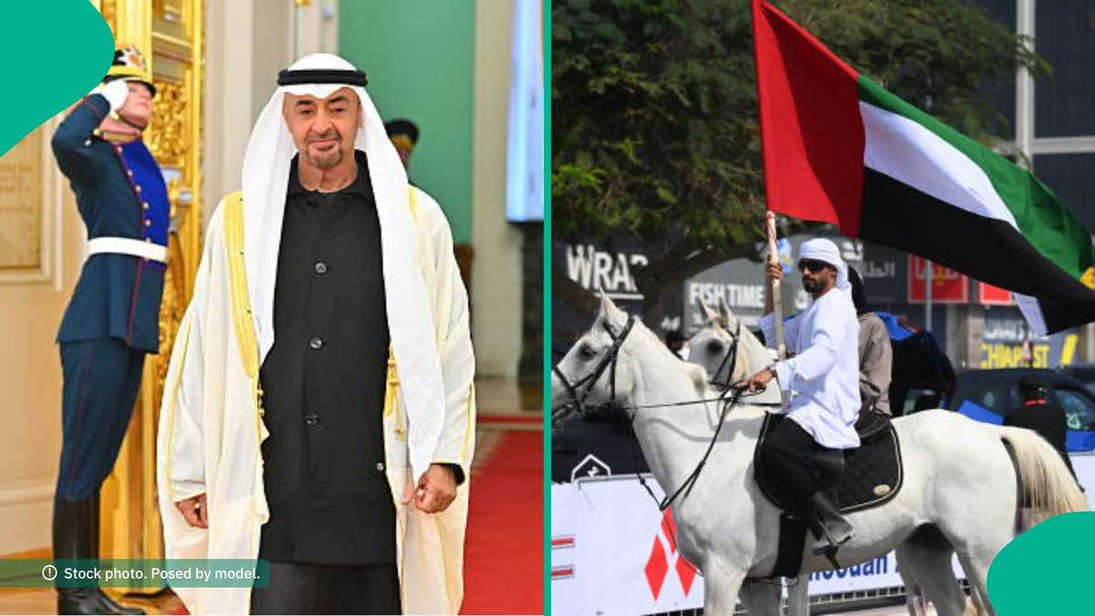 UAE explains what happens if residency permit applicants miss key deadline