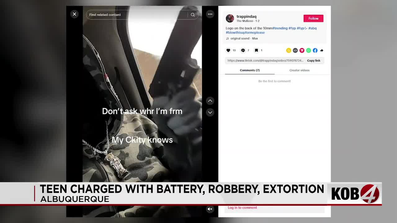 Police arrest teen crime spree suspect called ‘Mafioso’
