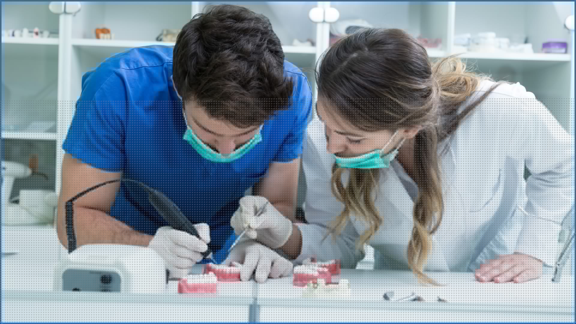 How to Handle a Dental Emergency: Trust the Best Dentist in Toronto, Ontario