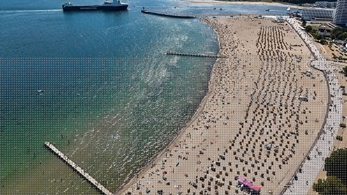 El calor dispara las algas tóxicas en el Báltico y obliga a alertar a los bañistas en Rostock