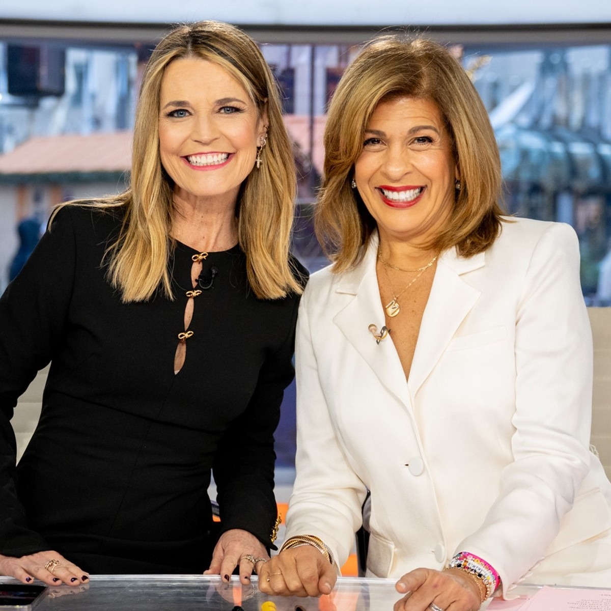 Savannah Guthrie Has Sweet Reunion With Hoda Kotb Amid Today Break