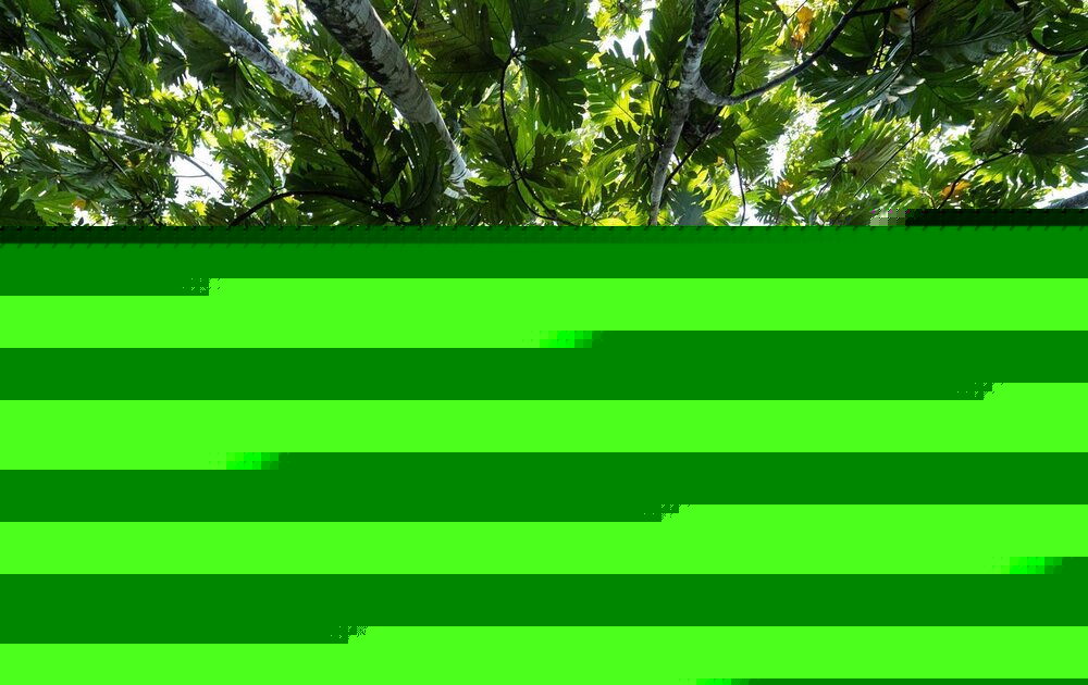 Pronunciamiento: ¡Basta de impunidad! Exigimos una respuesta urgente frente a la violencia sexual contra niñas, niños y adolescentes indígenas en la Amazonía