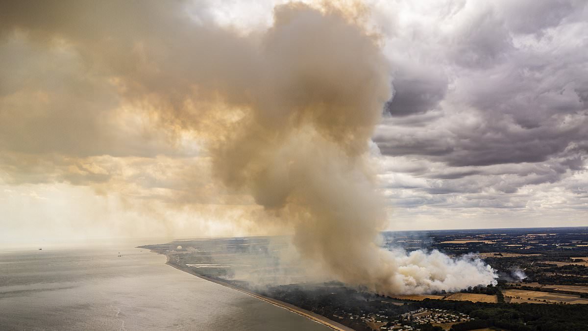 Scientists reveal what would happen if a nuclear power station was hit by wildfire