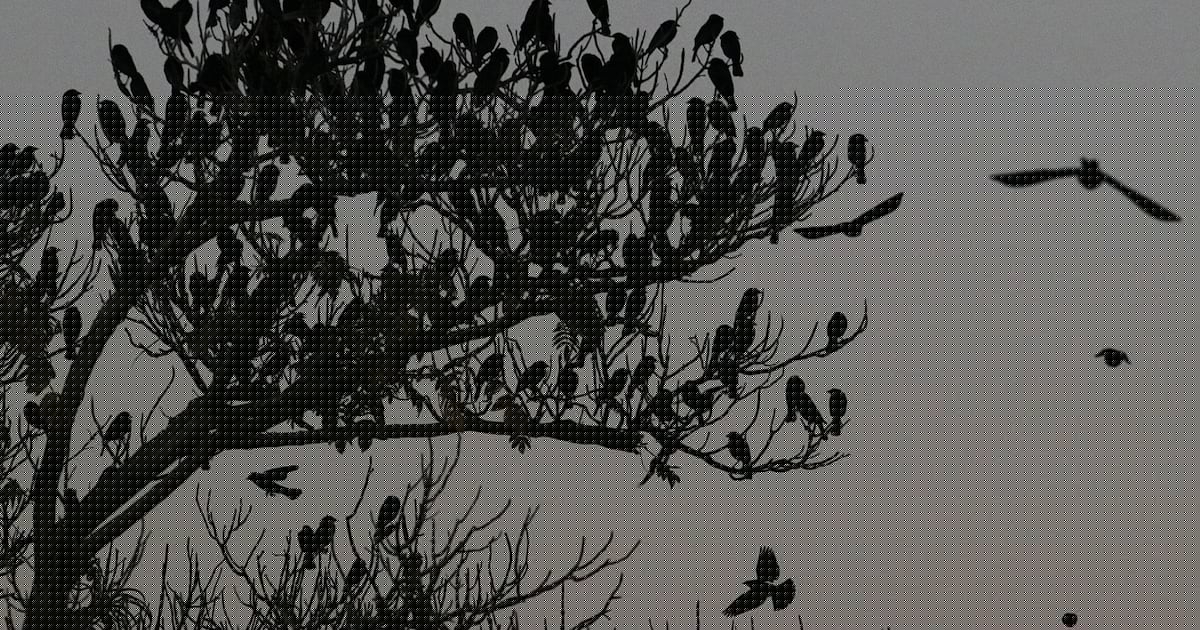 Clima Puebla y Morelos: Ambos estados esperan temperaturas frescas para este jueves 30 de julio