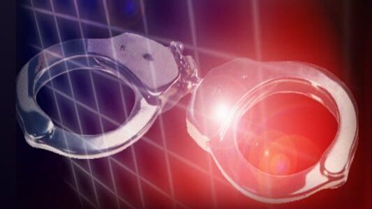 18-year-old was arrested after shots were fired in North Star Township