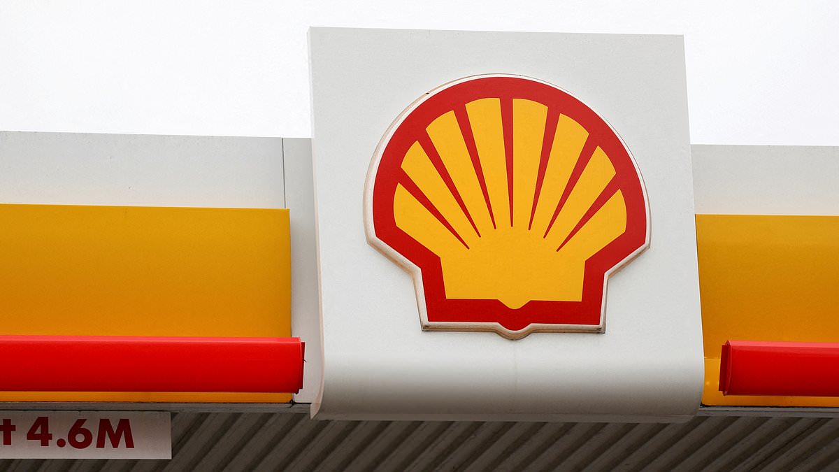 Shell profits more than double as traders cash in on volatile oil prices