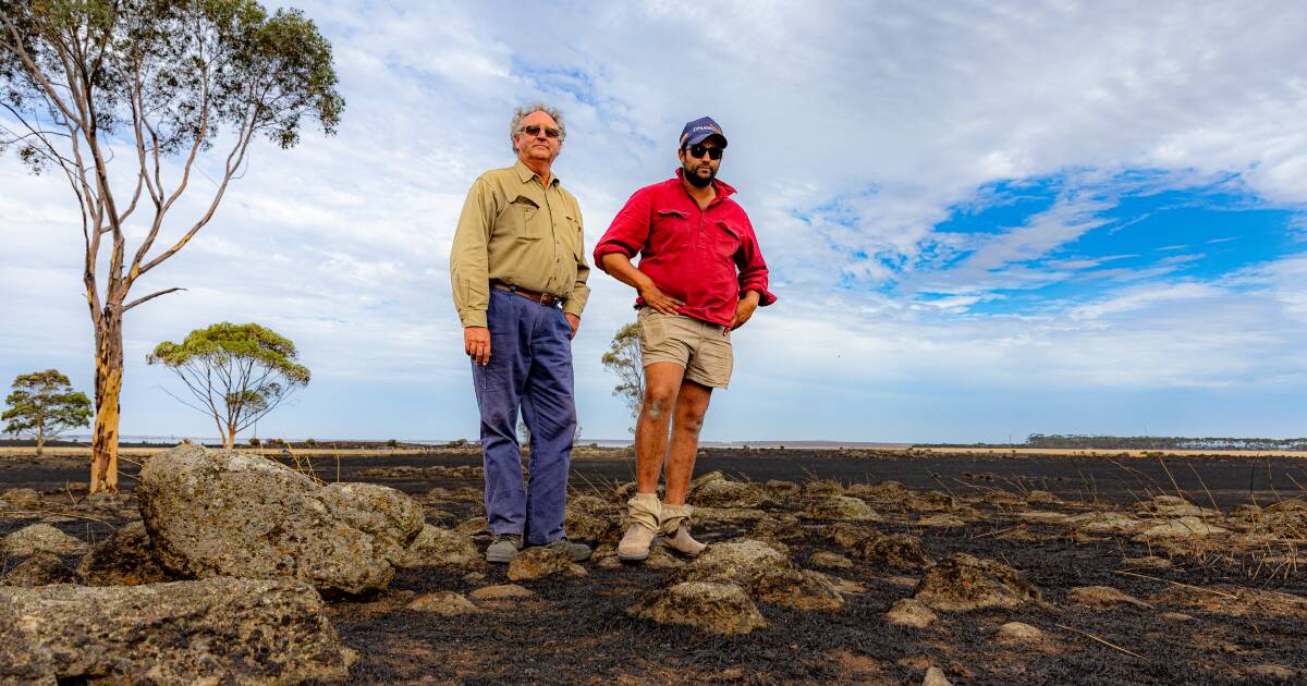 'It was absolutely feral': CFA captain describes barely saving his own farm