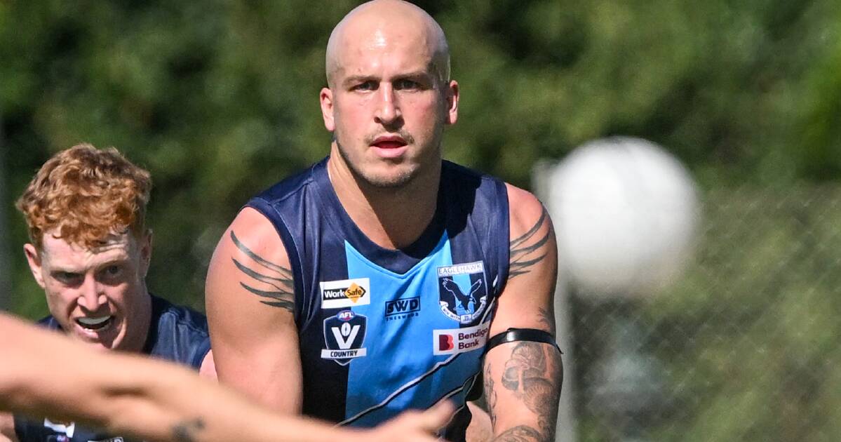 Hawks' star suspended for four matches as hearing focuses on 'duty of care'