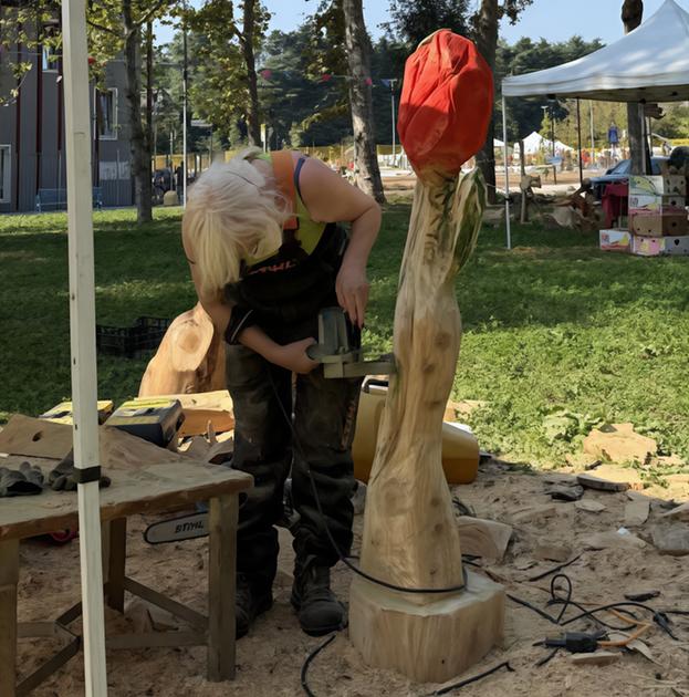 Olmo d’oro, arte e natura. Dai tronchi nasce il bello: "Celebriamo l’ambiente"