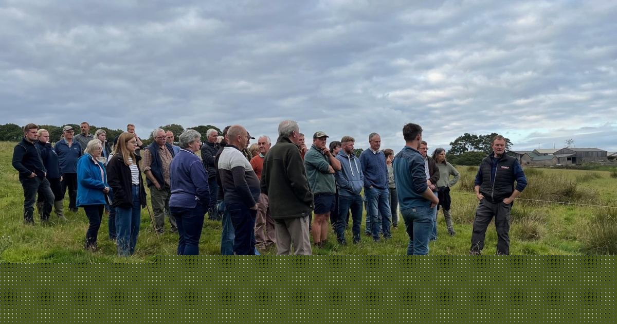 Farmers' distress calls rise as Labour farming plans criticised