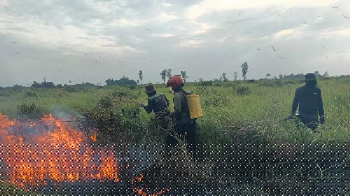 115 Titik Panas Terdeteksi di Lampung