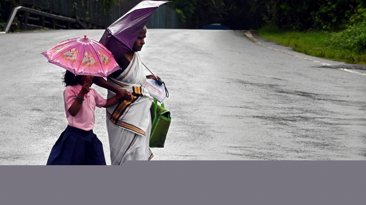 Kerala rain alert: Orange Alert in 12 districts; school, college holiday decisions only after review
