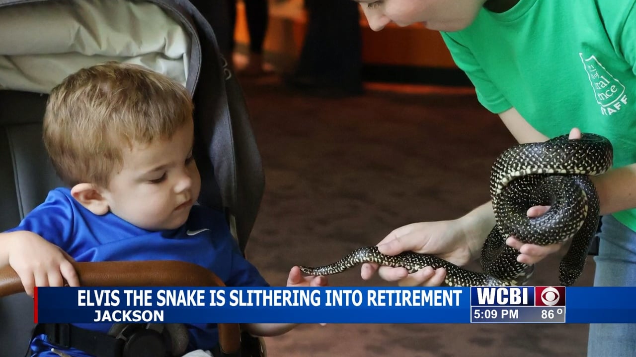 MS Museum of Natural Science says farewell to a slithery friend