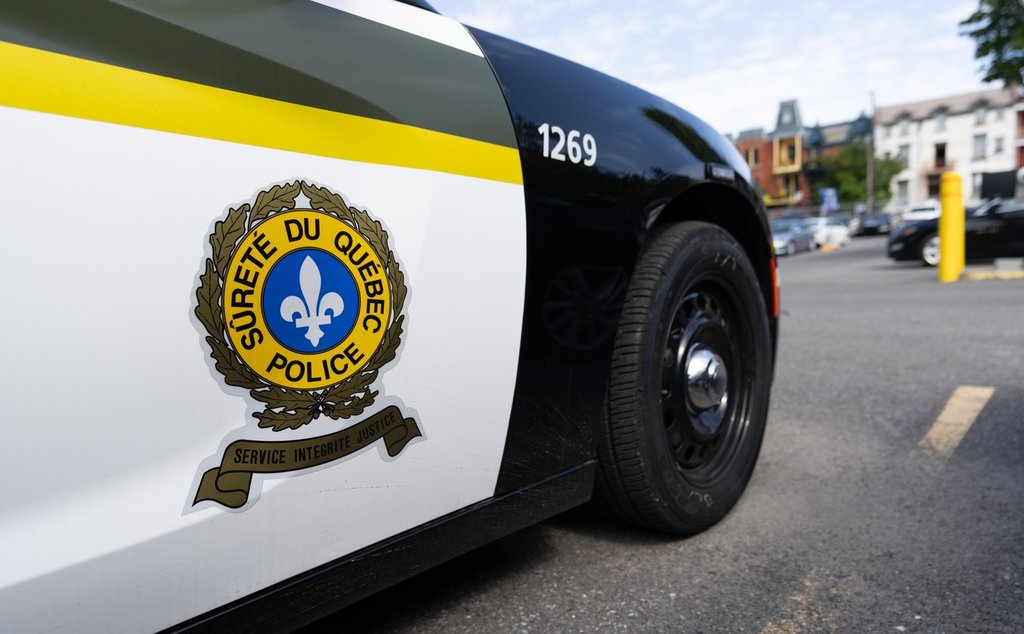 Young man dies after a fight involving several people in Terrebonne, Que., park