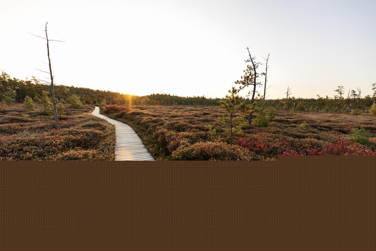 Maine’s Most Magical Places: How Many Have You Visited?