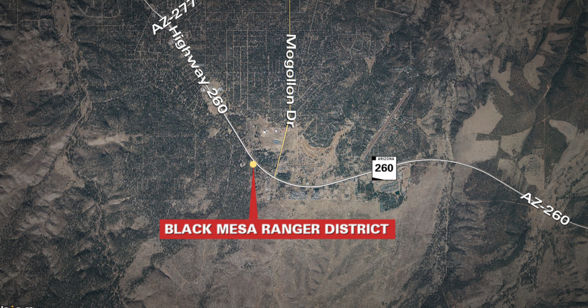 9 horses shot in Arizona forests; investigators looking for tips