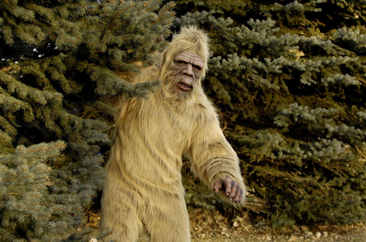 Why Is Harassing Bigfoot Illegal In Washington State?