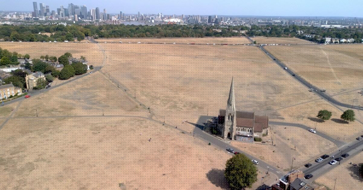 London’s parks are yellow and dusty — doctors say you need this ‘irksome’ item to stay safe