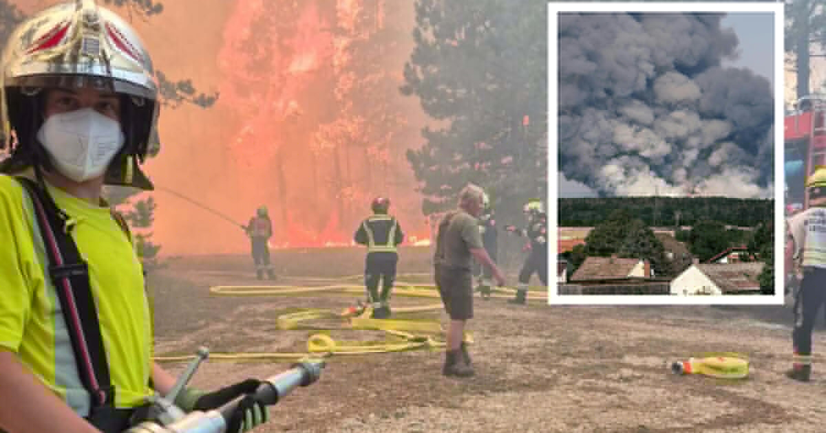 Föhrenwald in Flammen - 500 Helfer kämpfen bei Gluthitze gegen Inferno