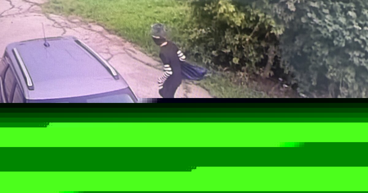 Waukesha police seek help identifying man who damaged Flock license plate camera