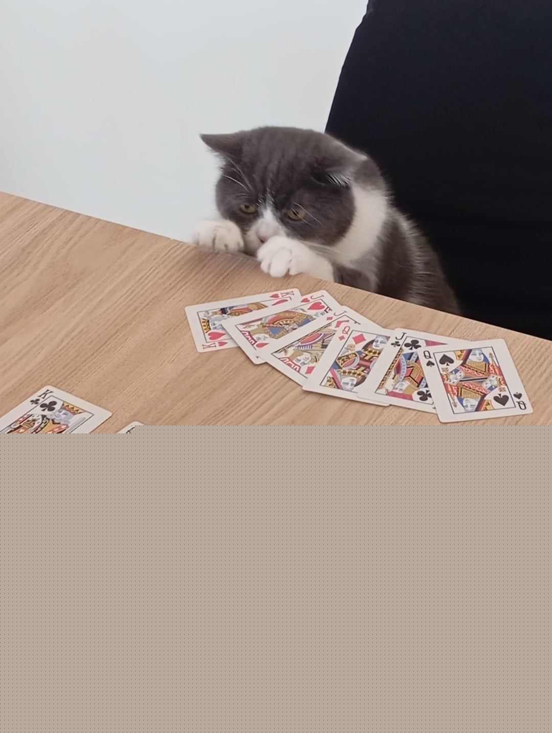 Cats - Card dealer