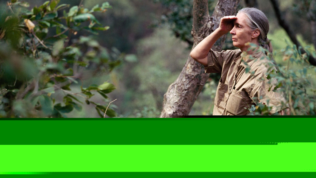 Comment on A new exhibit invites you to step into Jane Goodall’s life by What Jane Goodall taught me about bones, loss and not wasting anything - ＴＲΞＮＤ ＷΛＶΞ