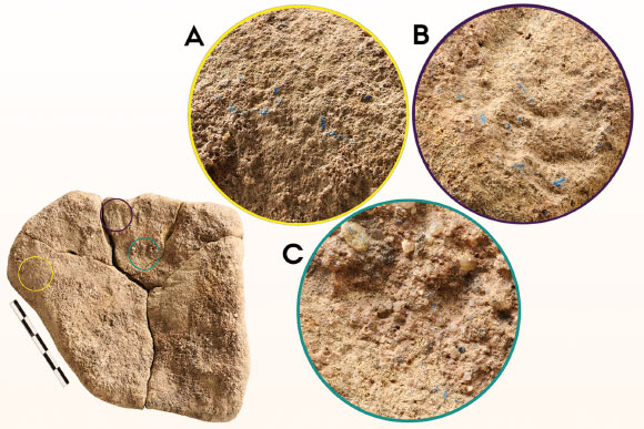 Archaeologists Find Traces of Blue Pigment on 13,000-Year-Old Stone Artifact in Germany