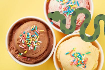 Snake Slithers Through Missoula Ice Cream Shop