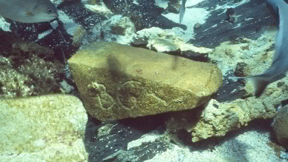 Infamous 17th-Century Shipwreck Reveals Trade Route Secrets of The Dutch East India Company