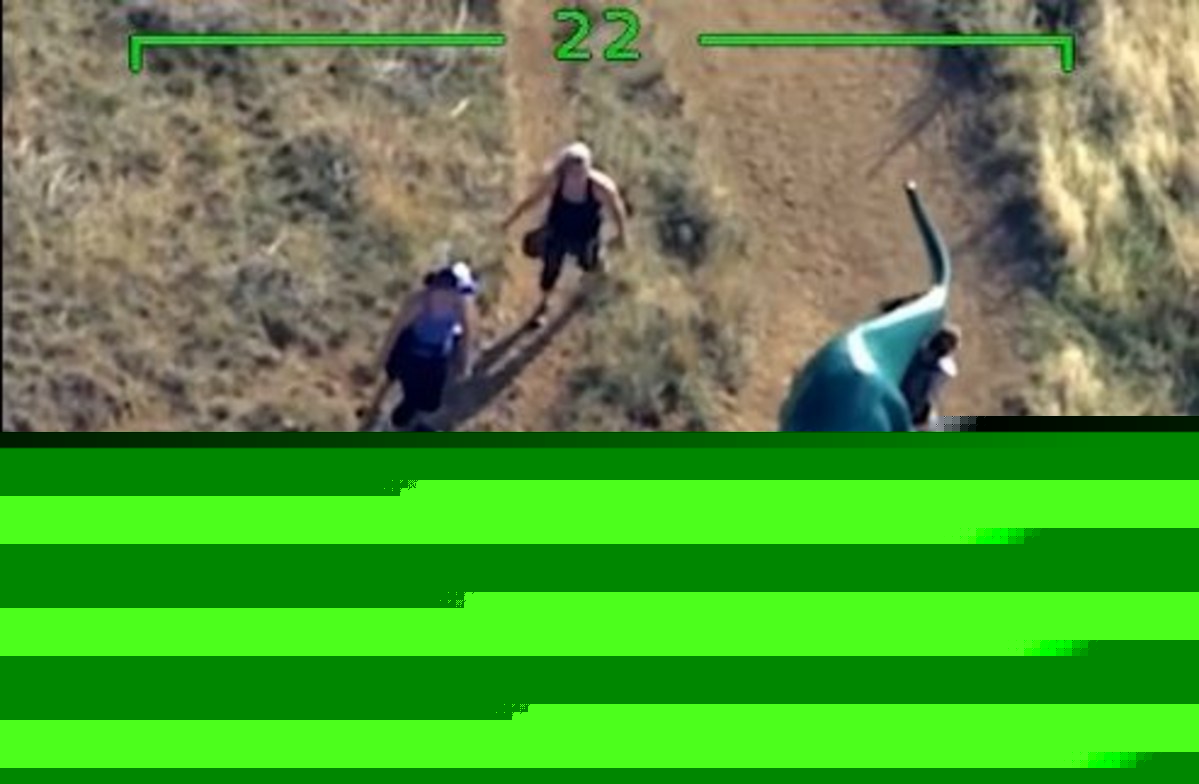 WATCH: Plane Records Stolen Sinclair Dino Carried Home