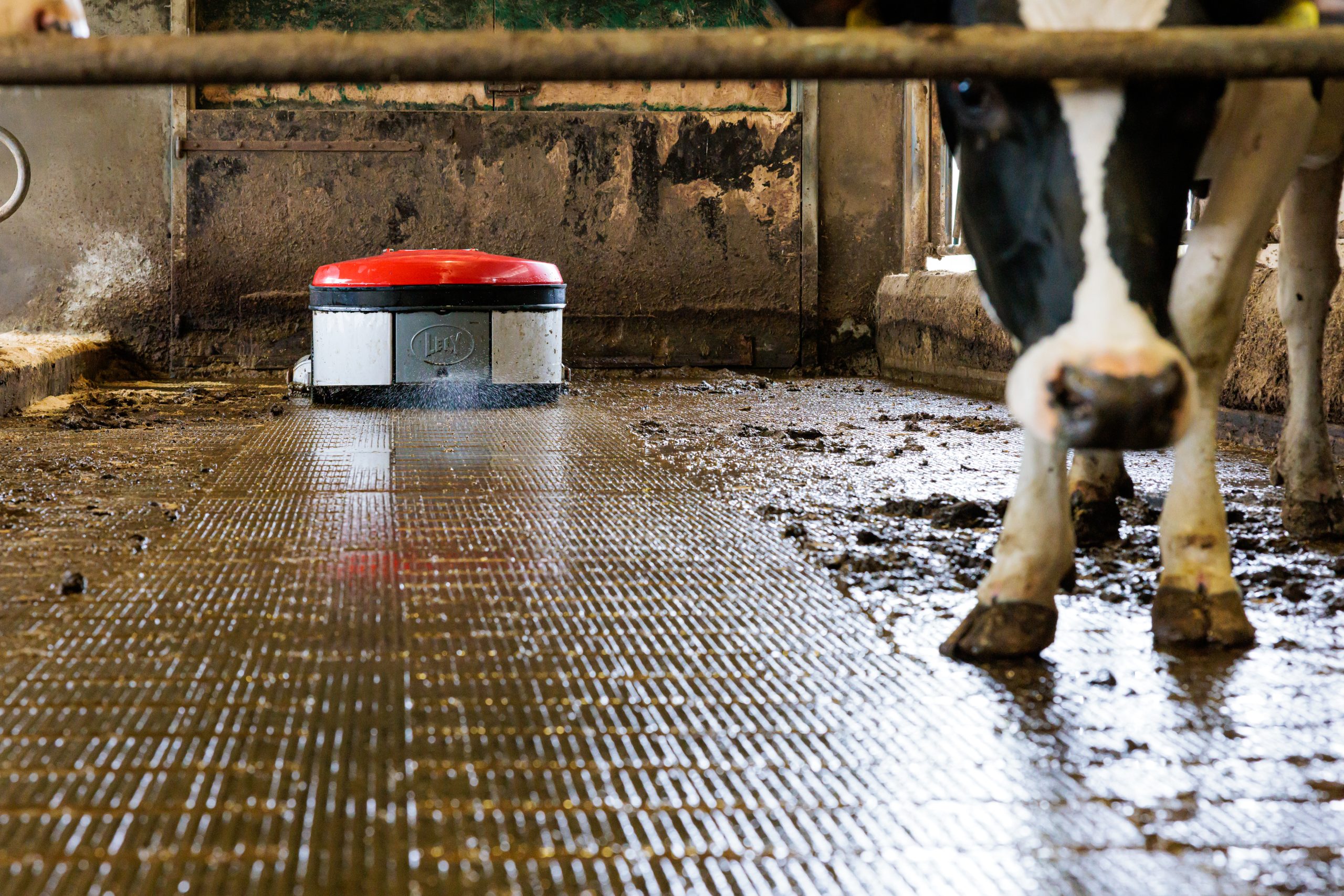Lely Centre Mitchelstown Platinum Sponsors at AXA National Dairy Show 2025
