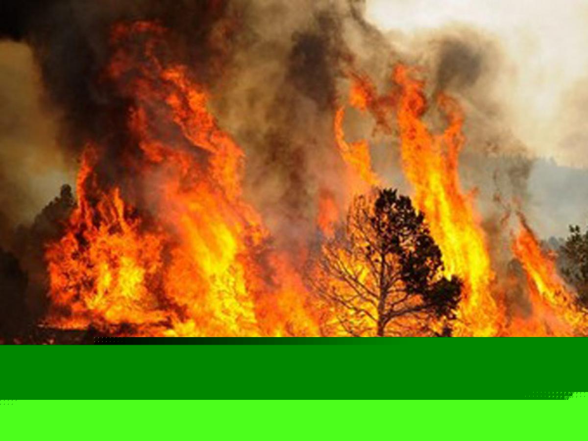 Here's How to Track Active Wildfires in Montana this Summer