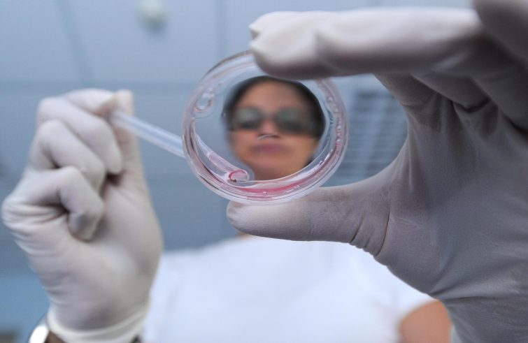 Fertilità e infertilità. A Roma il Congresso internazionale “Lo splendore dell’umano”