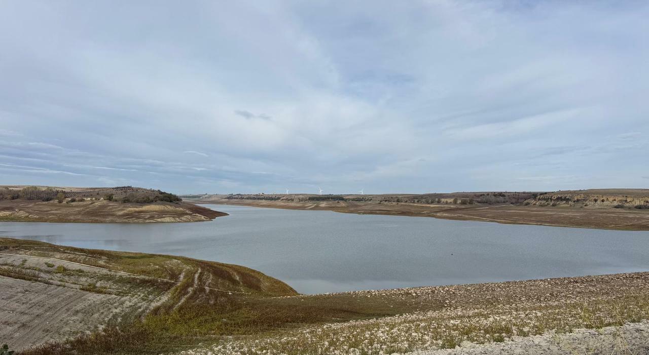 Fango al posto dell?acqua, la diga di Occhito assetata. «Campagne in ginocchio»