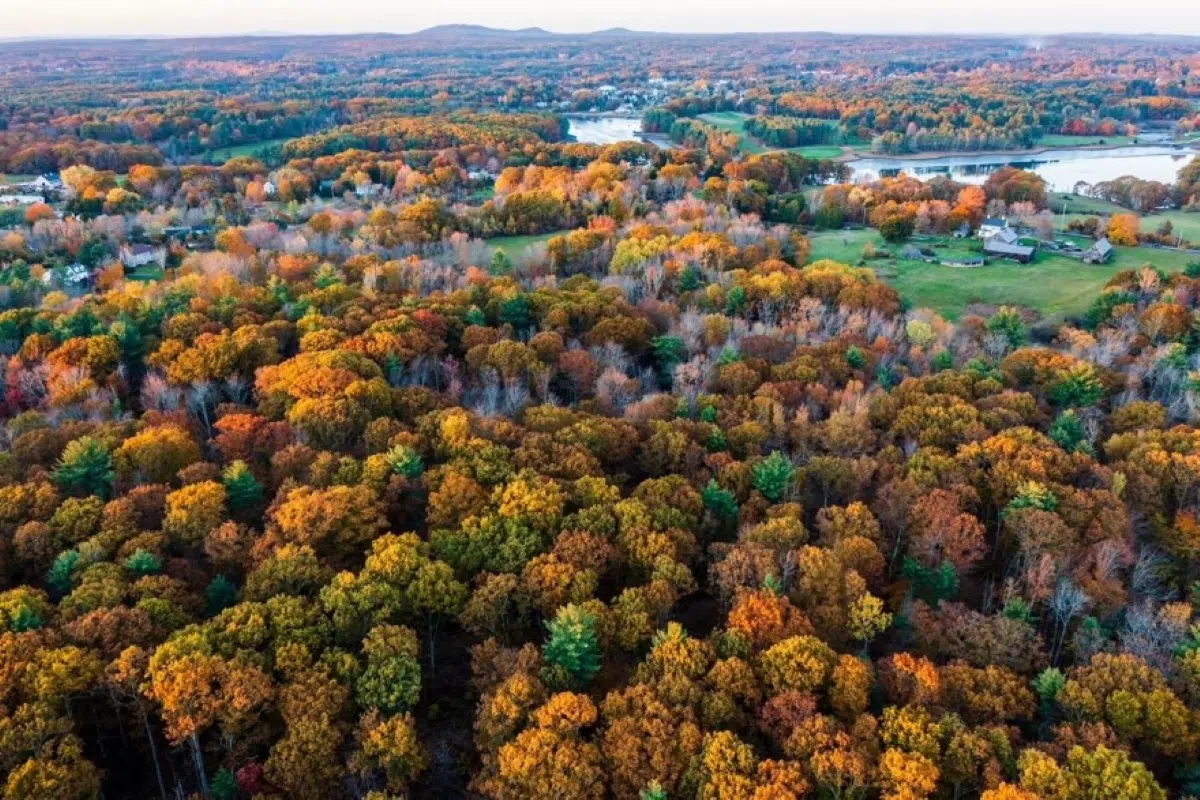 Legado verde en Maine: una mujer y su hija donaron más de 730 mil metros de bosque para protegerlo