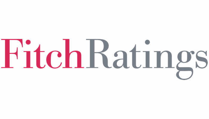 Fitch reports growing governance considerations for US life insurers following Delaware life investment reclassification