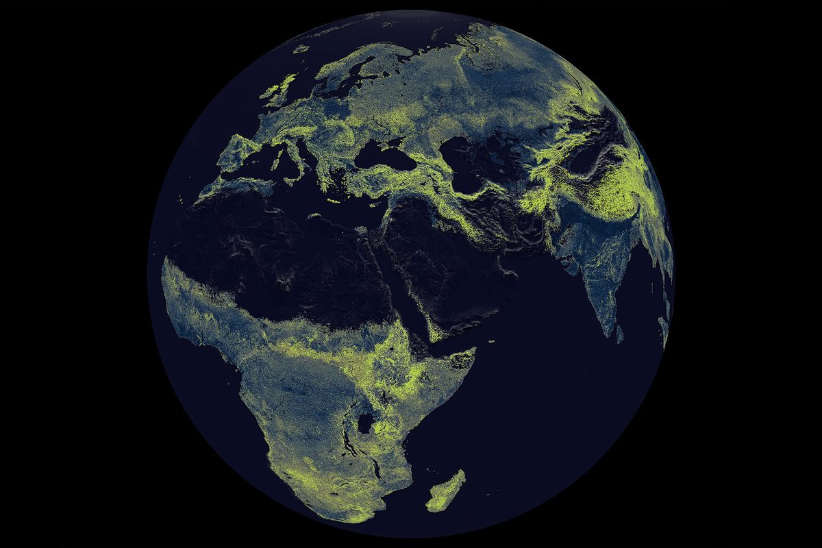 Earth's vast fungal networks are unravelling fast – and scientists are scrambling to understand why