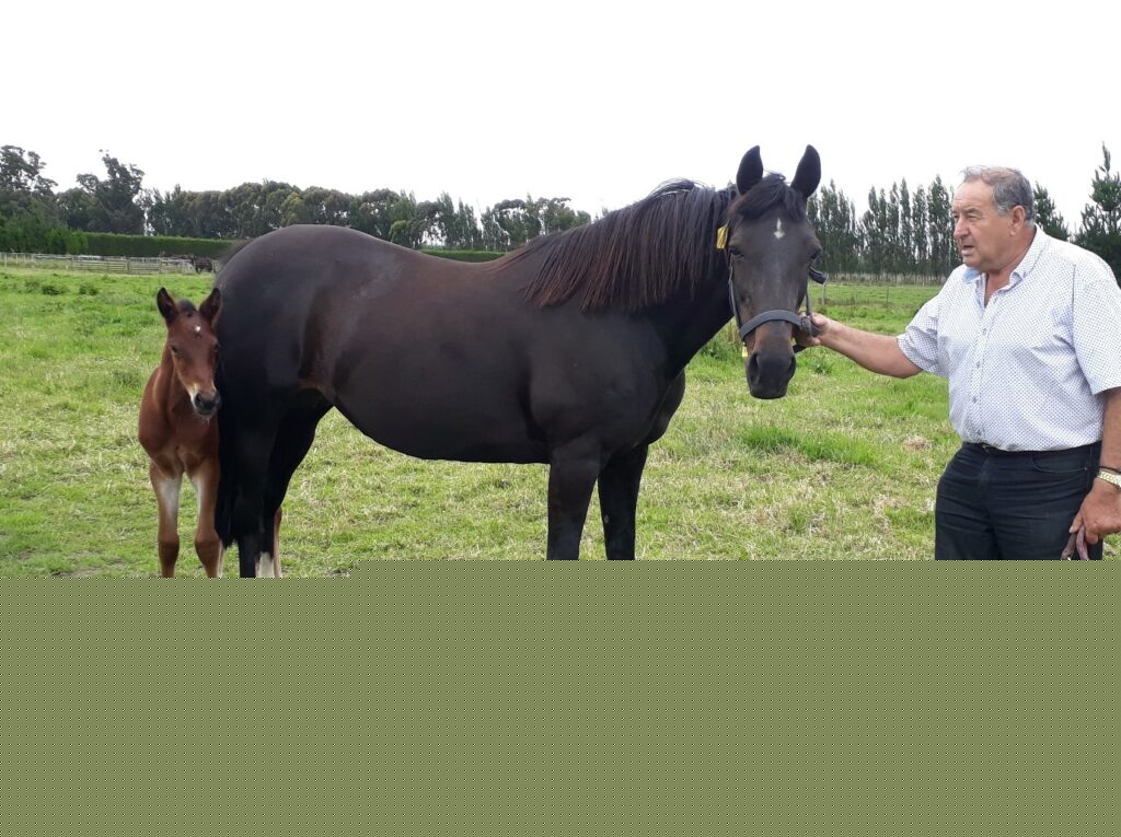 Fleet Pocket’s remarkable breeding record