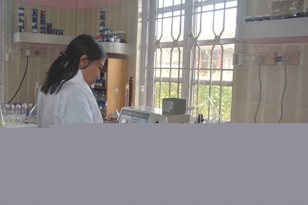 Nagaland University-led study examines impact of climate variability on soil microbes in Assam tea plantations