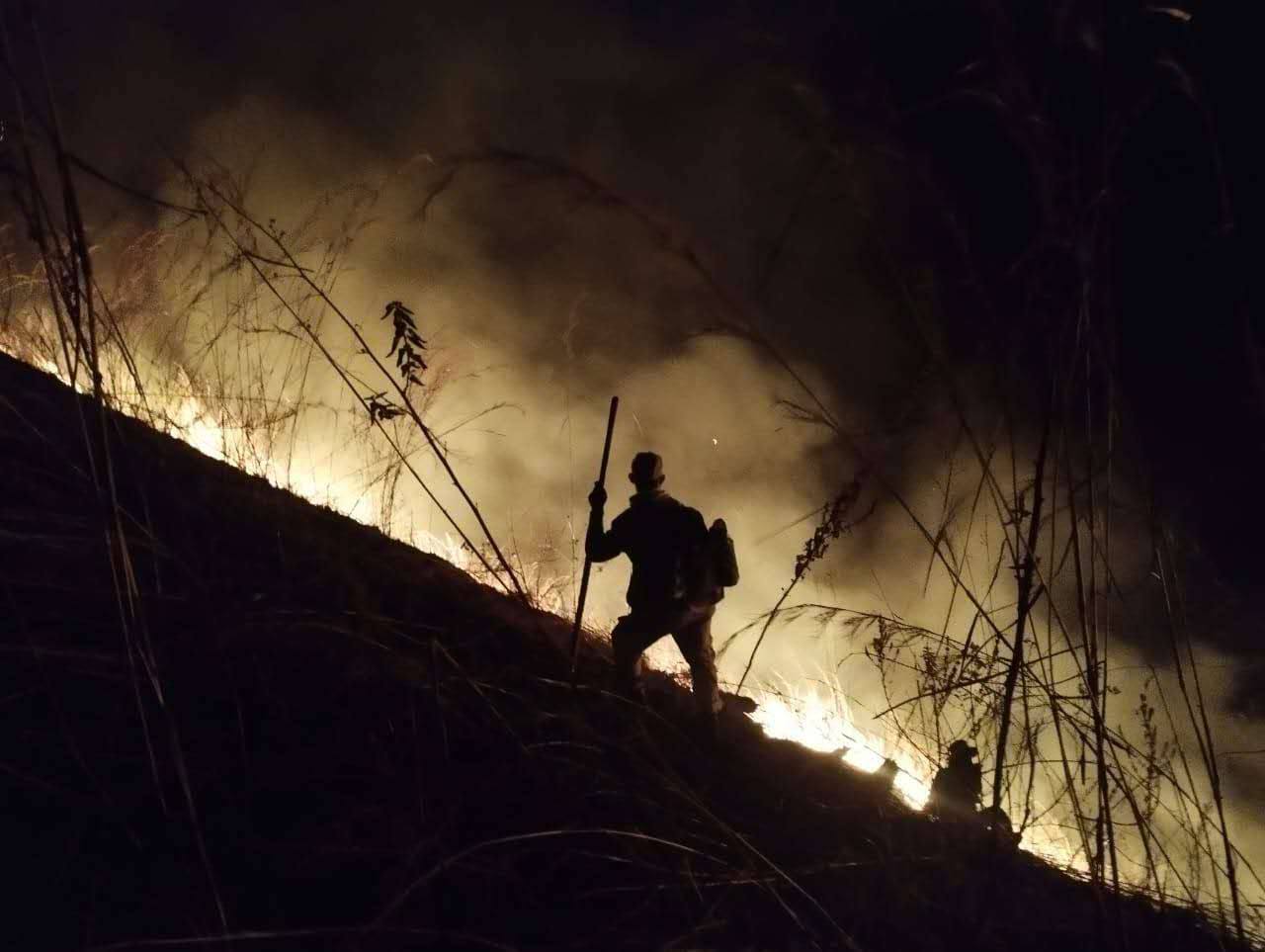 Nuevo incendio forestal arrasó con más de siete hectáreas del Parque Nacional Henri Pittier (FOTOS)