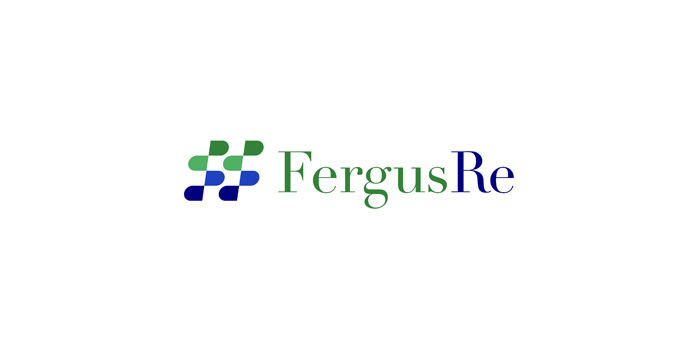 Fergus Re Appoints Stewart Ritchie As CEO