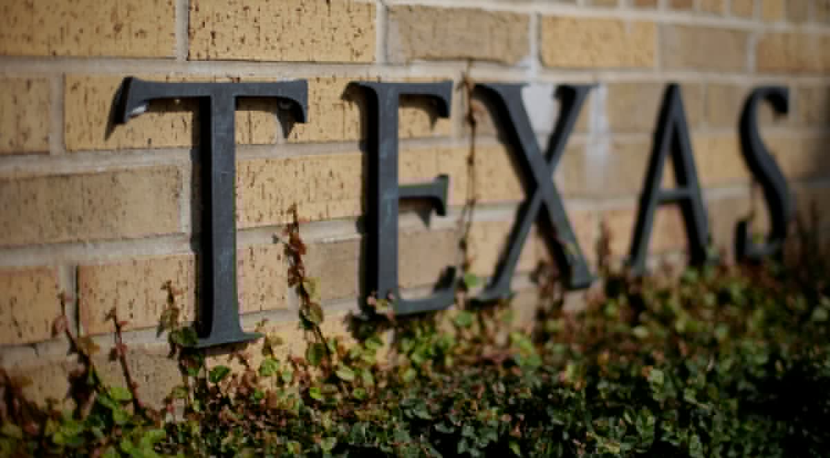 Profesores en Texas demandan a Gobierno por restricciones académicas y prohibir libros
