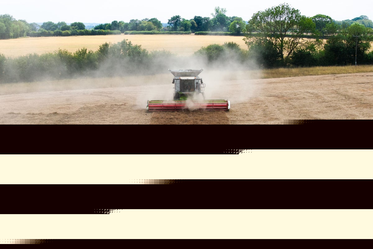 UK faces ‘worst food security crisis in decades’ due to repeated heatwaves