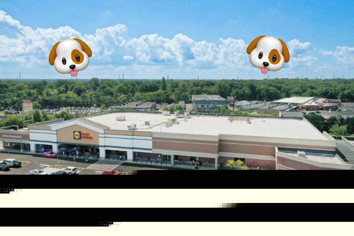 Dogtopia Is Opening At Brunswick Shopping Center