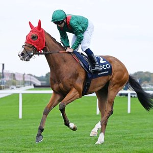 How the trends stack up for this year’s King George runners