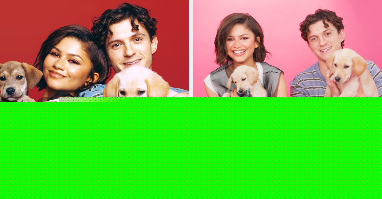Zendaya And Tom Holland Hilariously Tried To Answer A Bunch Of Questions While Playing With Puppies