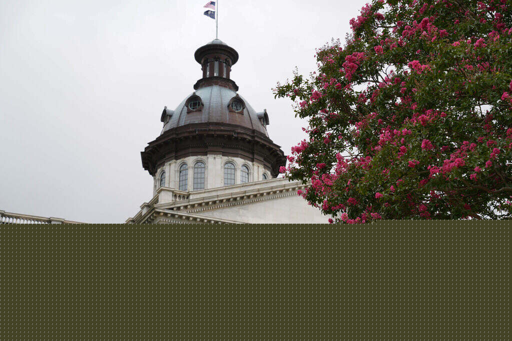 Comment on S.C. Freedom Caucus: State Budget Process Raises Constitutional Questions by jbl1a