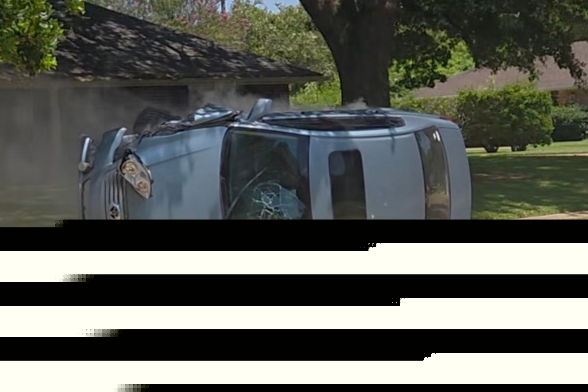 Quiet Neighborhood Walk Ends With Shocking Discovery